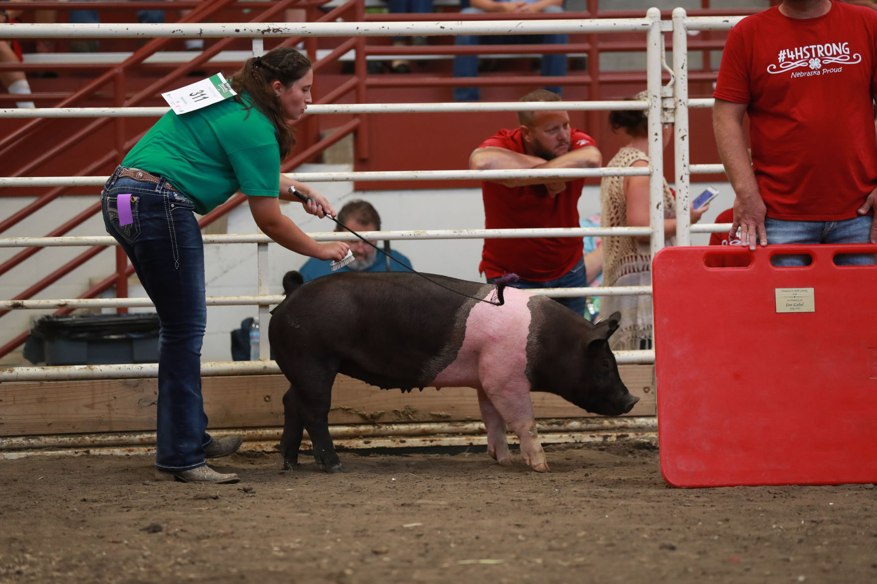 071119_HallCoFair52_bjs.JPG